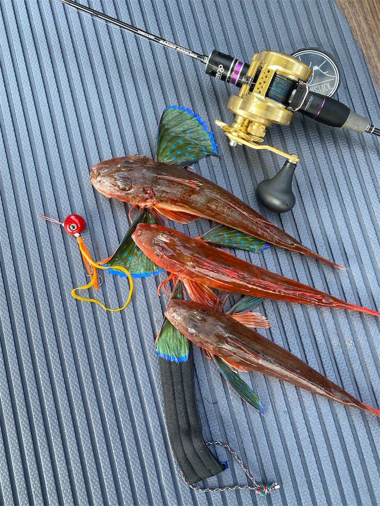 f:id:smellofthesea:20221214152648j:image f:id:smellofthesea:20221214152648j:image