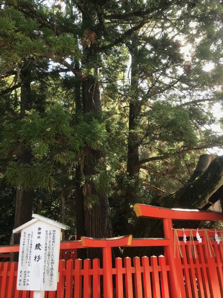 f:id:smgwtr:20180305134954j:plain