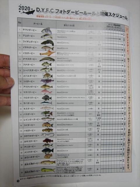 ダイワ ヤングフィッシングクラブ 入会しました - ナチュラル