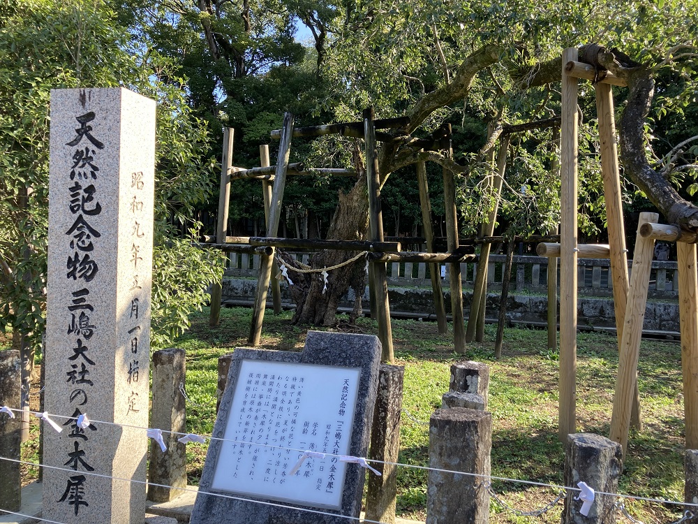 f:id:smile-baumkuchen:20211106195941j:plain
