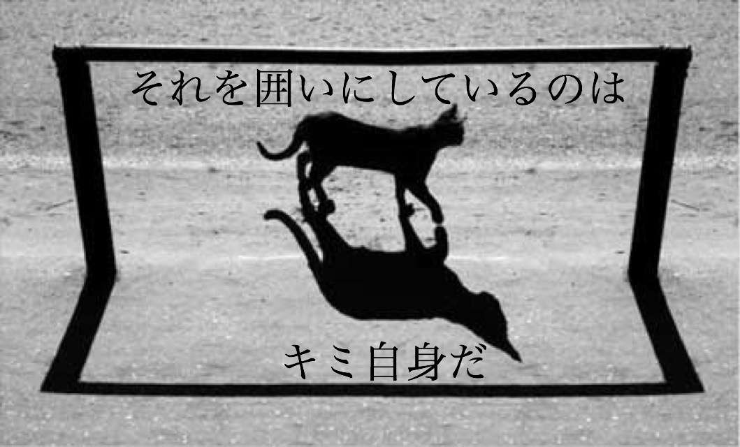 f:id:smile3851:20190810153026j:plain