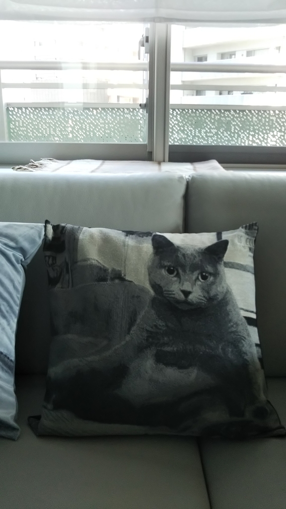 f:id:smile3garden:20190225234436j:plain f:id:smile3garden:20190225234436j:plain