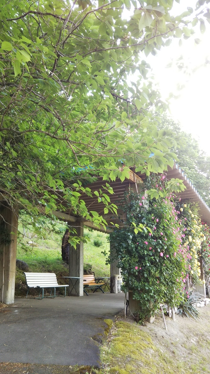 f:id:smile3garden:20200607205305j:plain f:id:smile3garden:20200607205305j:plain