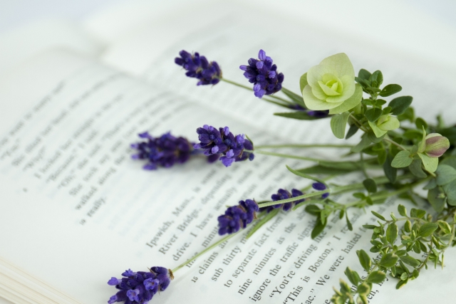 f:id:smile3garden:20200718193613j:plain f:id:smile3garden:20200718193613j:plain