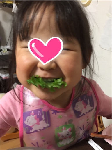 f:id:smile_always:20170217234902j:image