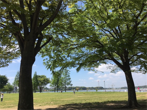 f:id:smile_always:20170506223545j:image