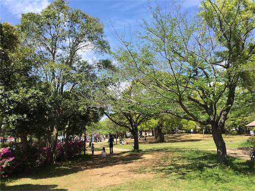 f:id:smile_always:20170506223852j:image