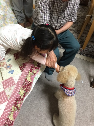 f:id:smile_always:20170506231900j:image