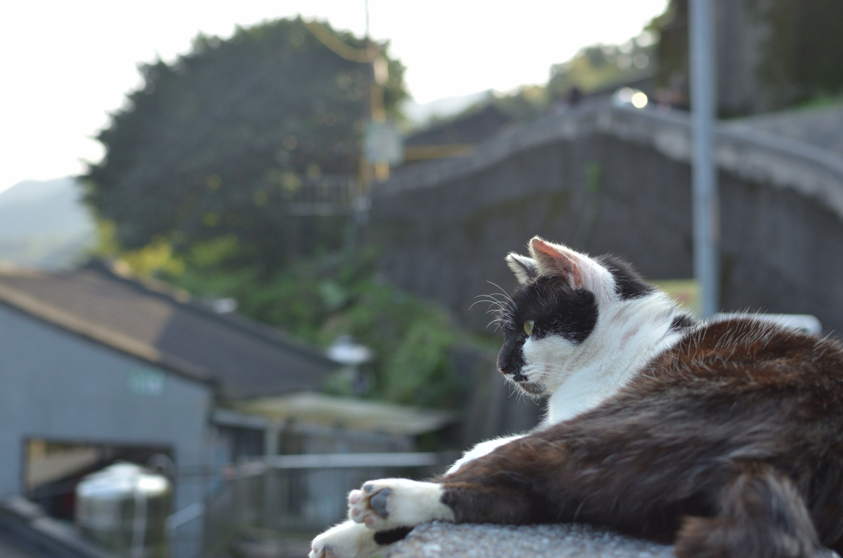 f:id:smilechiruchiru:20190525185106j:plain