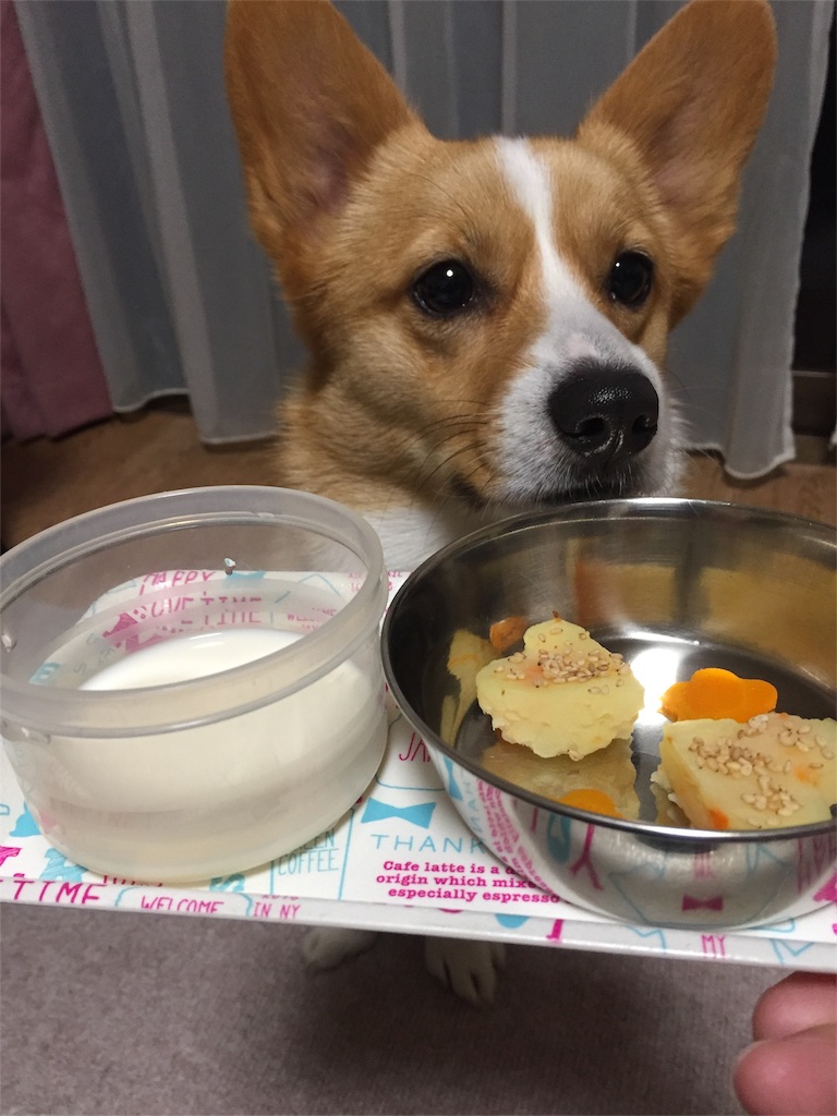 f:id:smilecorgi:20170312190049j:image f:id:smilecorgi:20170312190049j:image