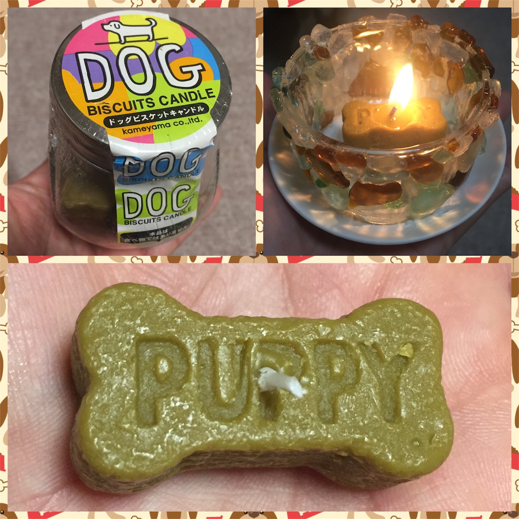 f:id:smilecorgi:20170822164238j:image f:id:smilecorgi:20170822164238j:image