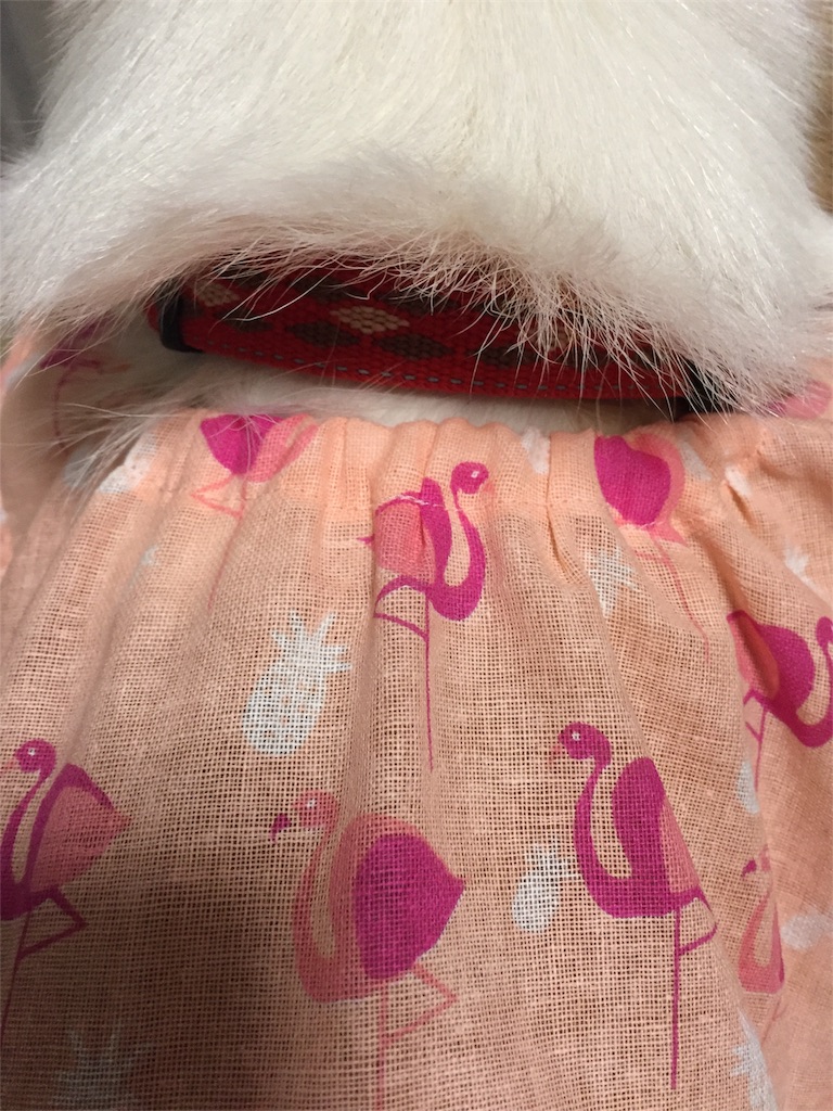 f:id:smilecorgi:20170901225224j:image f:id:smilecorgi:20170901225224j:image