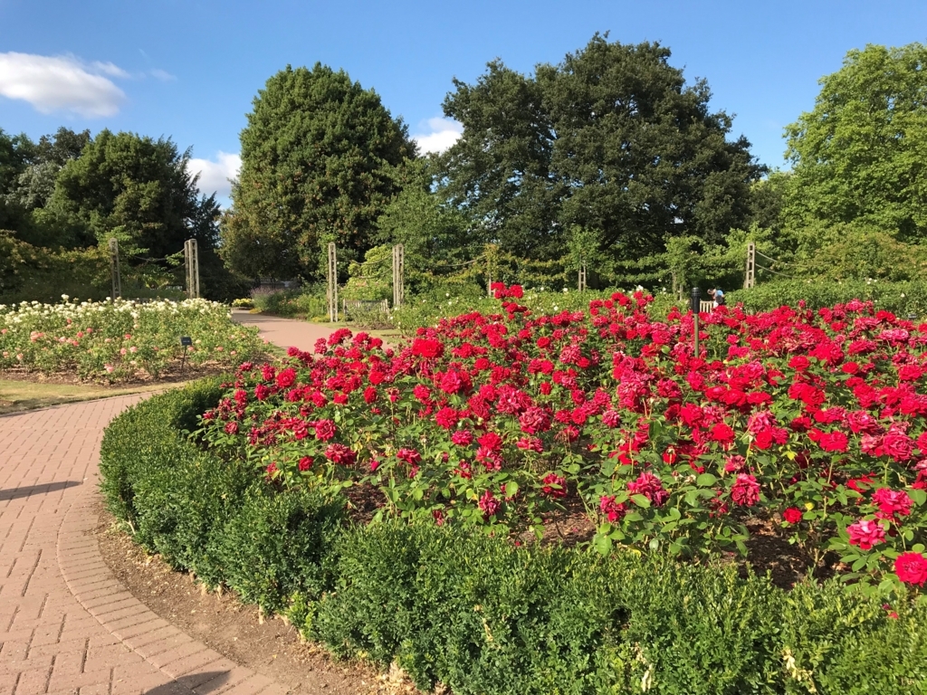f:id:smileduck:20180711073739j:plain f:id:smileduck:20180711073739j:plain