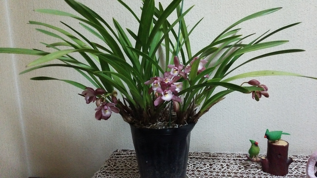 f:id:smilefinlove1127:20220401101050j:plain