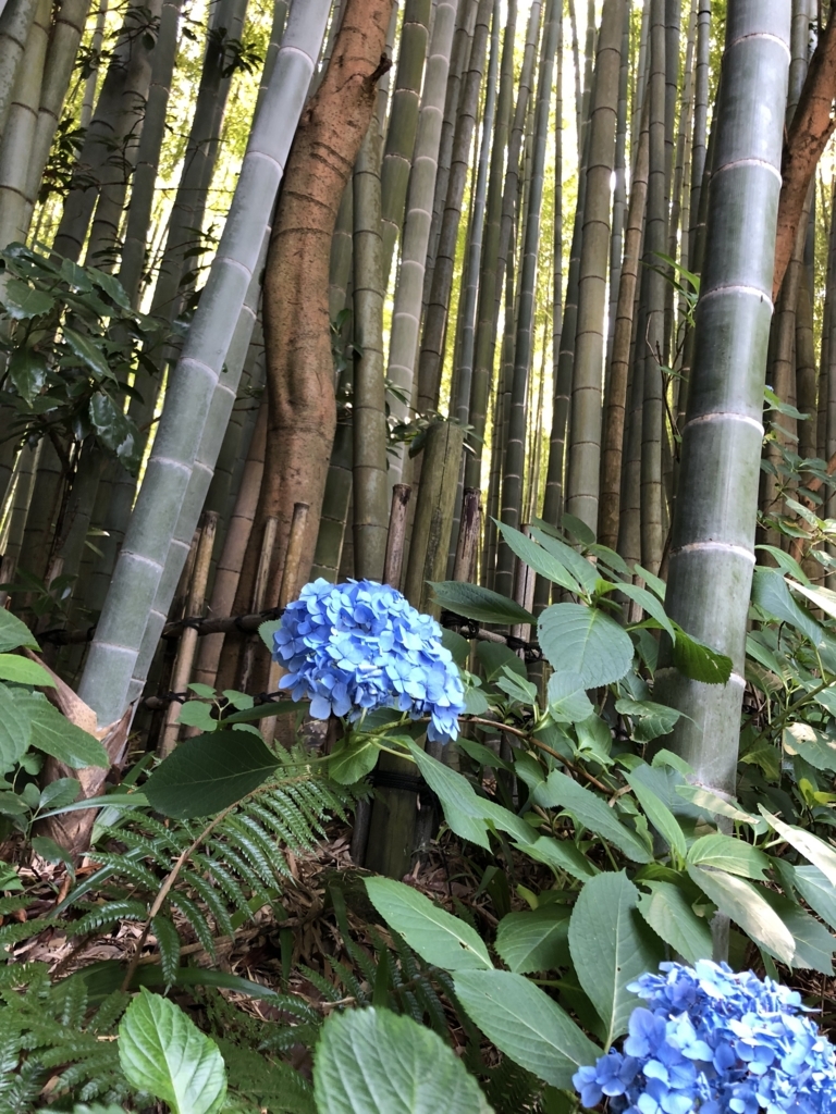 f:id:smileforall0:20180618221310j:plain f:id:smileforall0:20180618221310j:plain