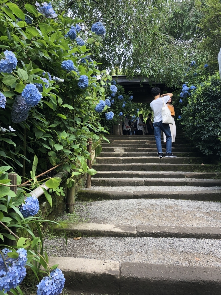 f:id:smileforall0:20180618222118j:plain f:id:smileforall0:20180618222118j:plain