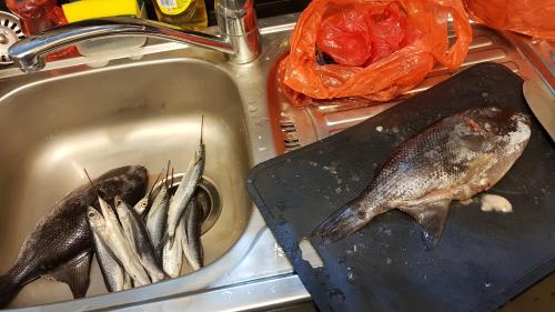 f:id:smilehousejapan:20180208112309j:plain