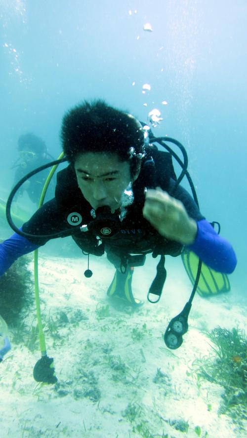 f:id:smilehousejapan:20200819113107j:plain f:id:smilehousejapan:20200819113107j:plain