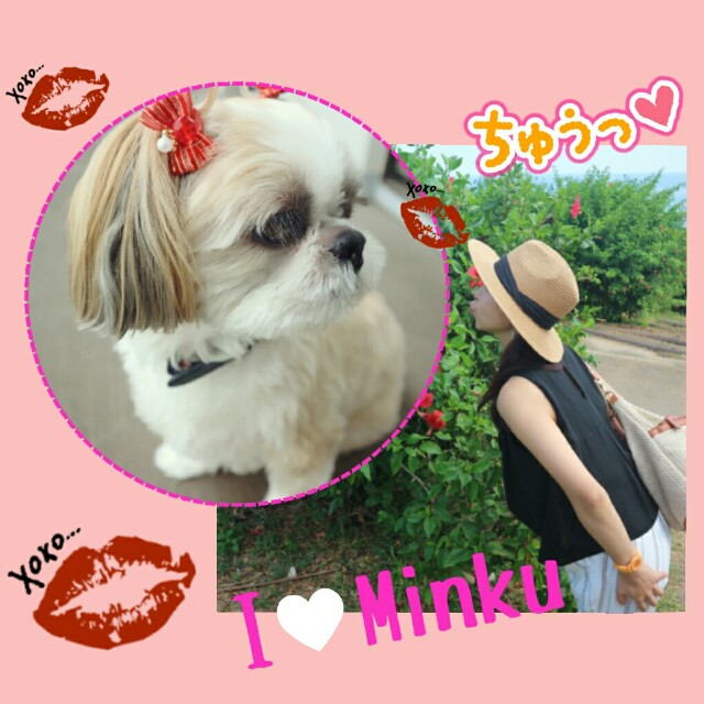 f:id:smilekatomiho:20160816105943j:image f:id:smilekatomiho:20160816105943j:image