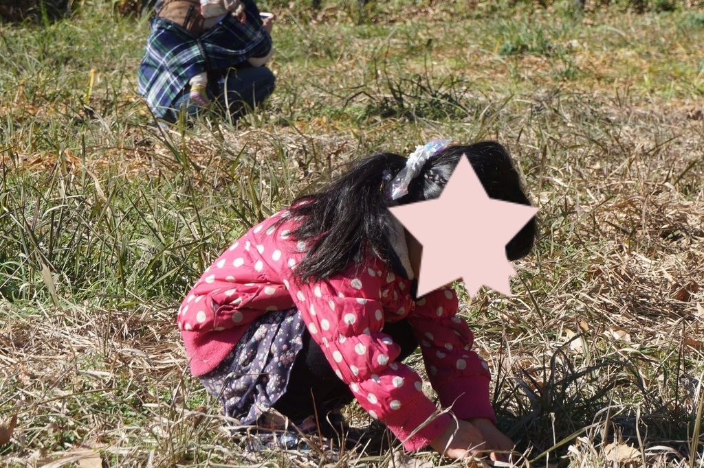 f:id:smilemarch20187:20190206224408j:plain f:id:smilemarch20187:20190206224408j:plain