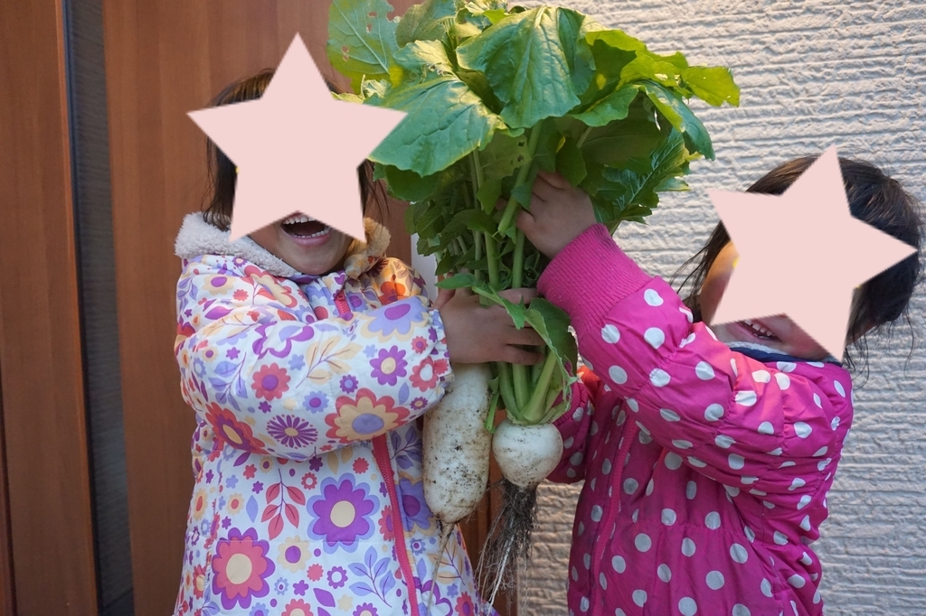f:id:smilemarch20187:20190206225606j:plain f:id:smilemarch20187:20190206225606j:plain