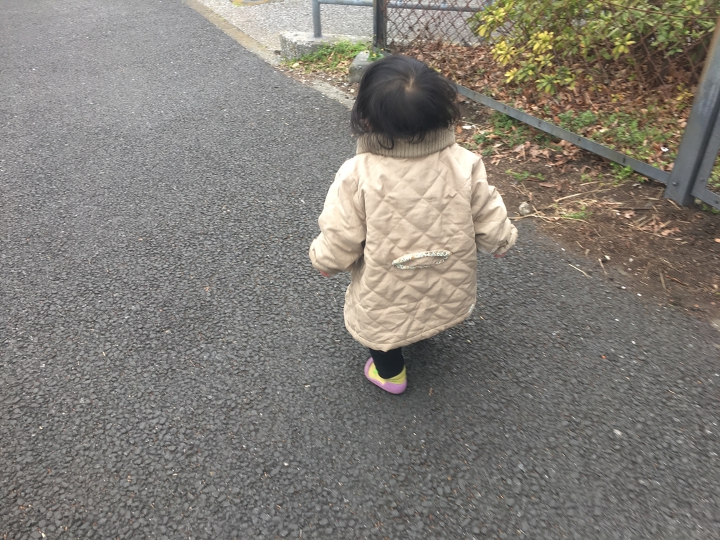 f:id:smilemarch20187:20190215212223j:plain f:id:smilemarch20187:20190215212223j:plain