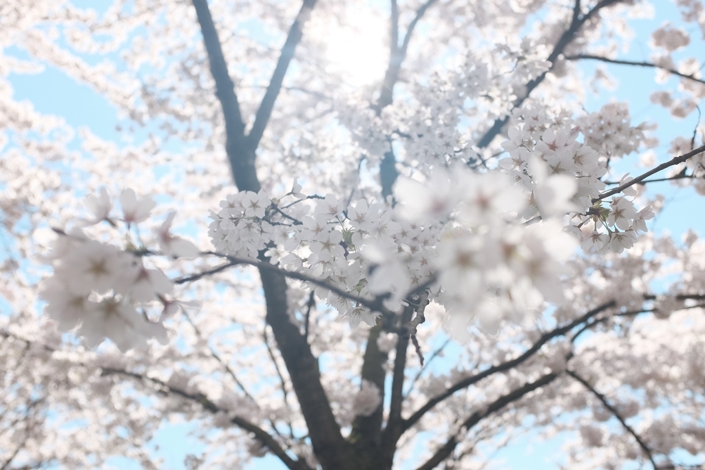 f:id:smilemarch20187:20190217175732j:plain f:id:smilemarch20187:20190217175732j:plain