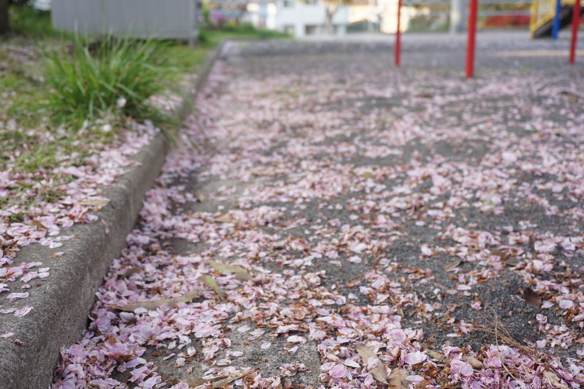 ピンク色の道路