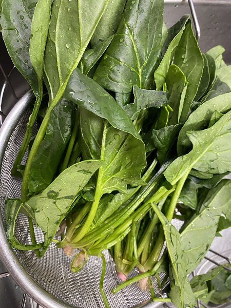 ほうれん草