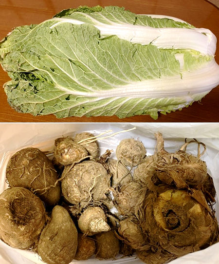 白菜