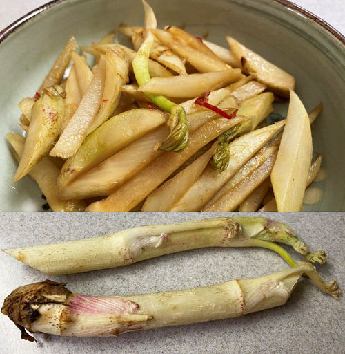 皮ごと！ほろ苦みが美味しいウドのキンピラ＆お刺身こんにゃく♪ - きままにスマイル♪