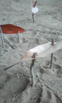 20090524130749