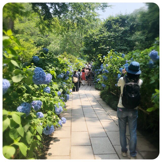 f:id:smilenail:20190622200021j:plain f:id:smilenail:20190622200021j:plain