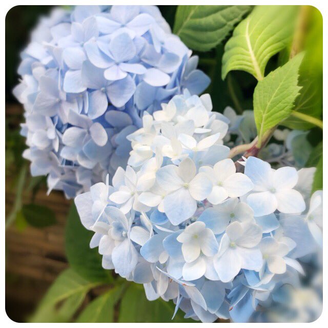 f:id:smilenail:20190622200035j:plain f:id:smilenail:20190622200035j:plain