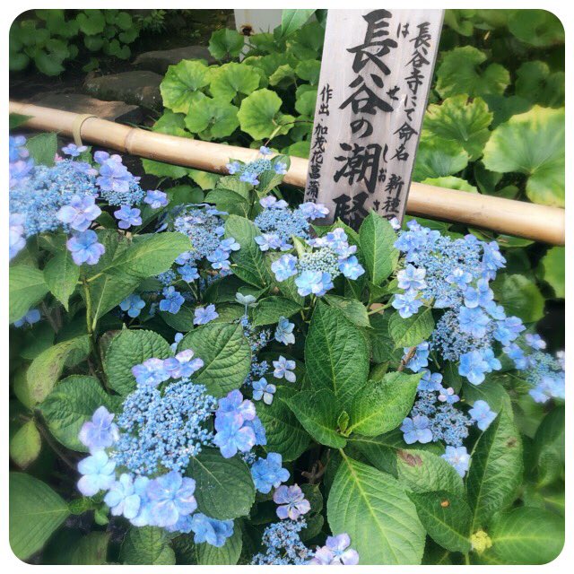 f:id:smilenail:20190622200100j:plain f:id:smilenail:20190622200100j:plain