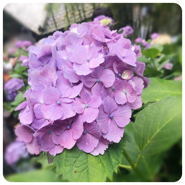 f:id:smilenail:20190622200110j:plain f:id:smilenail:20190622200110j:plain