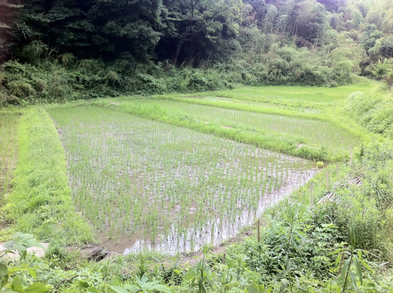 f:id:smilep:20120630132906j:image f:id:smilep:20120630132906j:image