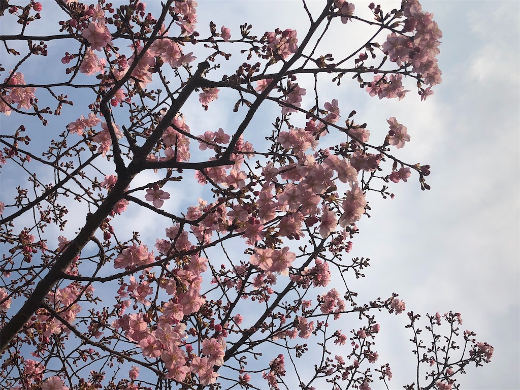 f:id:smlbeat:20190311211627j:image f:id:smlbeat:20190311211627j:image