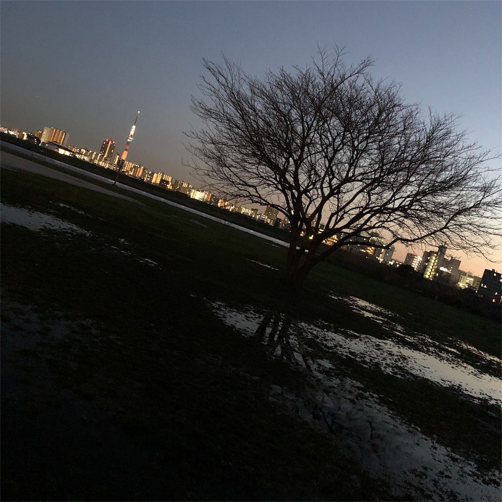 f:id:smlbeat:20190311211828j:image f:id:smlbeat:20190311211828j:image