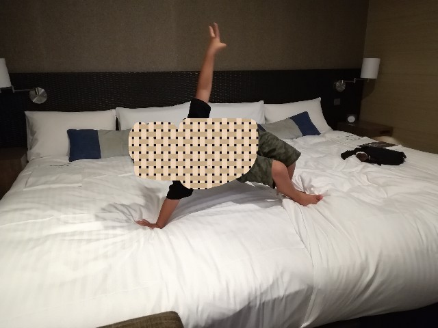 f:id:smnfgtmn:20190726063415j:plain