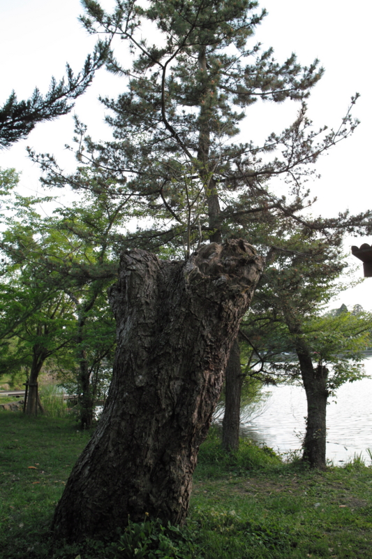 f:id:smoglog:20100509182724j:image