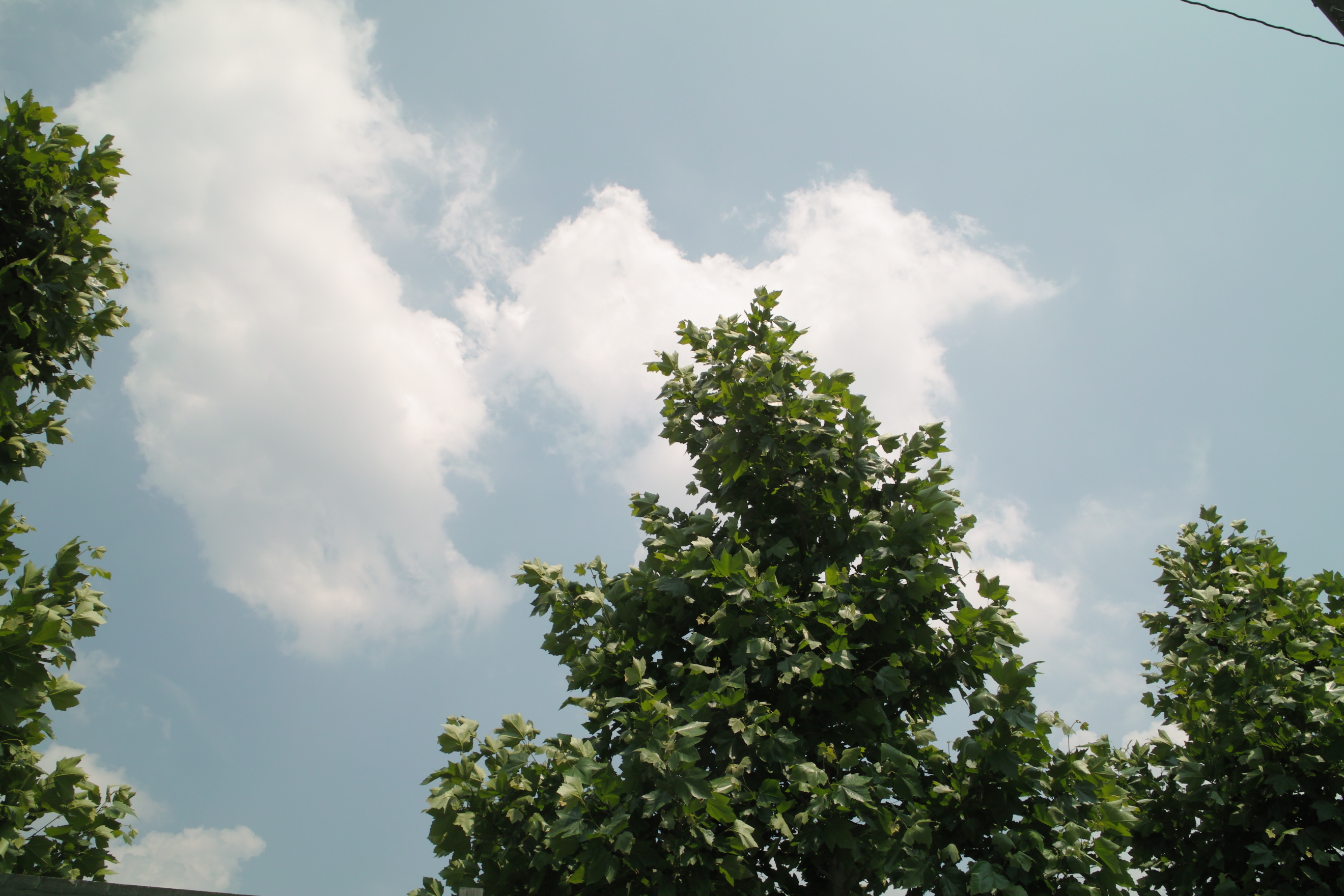 f:id:smoglog:20100612135815j:plain