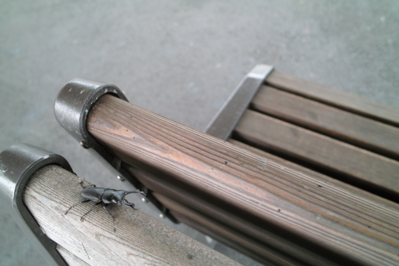 f:id:smoglog:20100613065308j:image