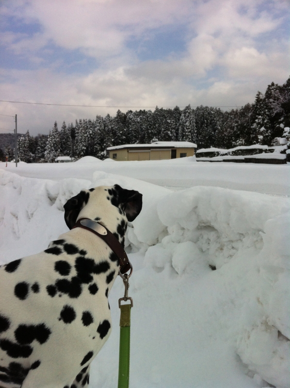 f:id:smoglog:20120203150201j:image