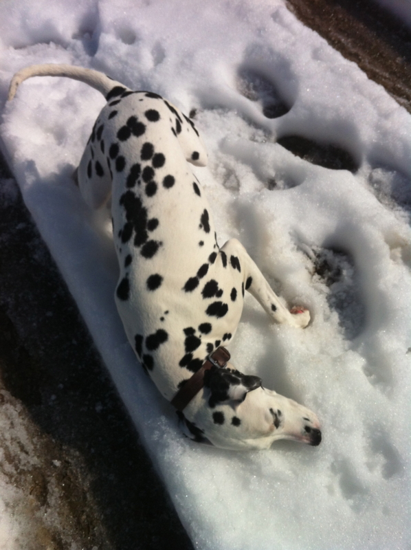 f:id:smoglog:20120217141037j:image