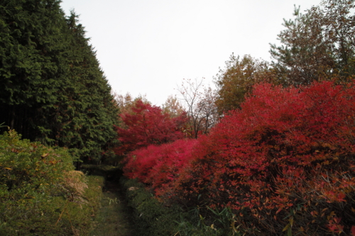 f:id:smoglog:20120415224154j:plain