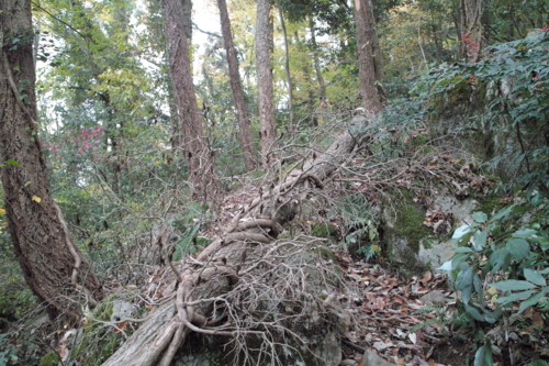 f:id:smoglog:20120415230957j:plain