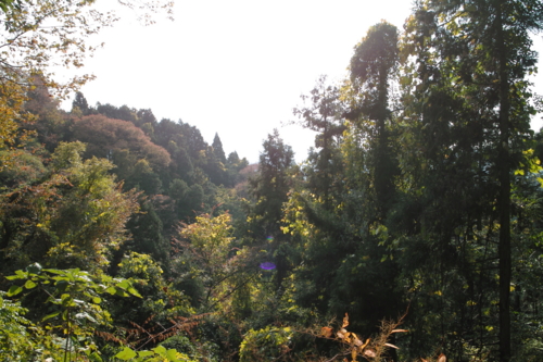 f:id:smoglog:20120416003200j:plain