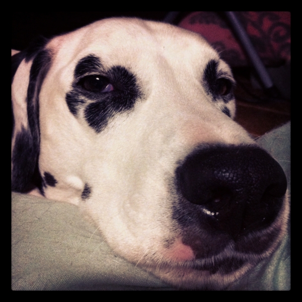 f:id:smoglog:20121224145840j:plain