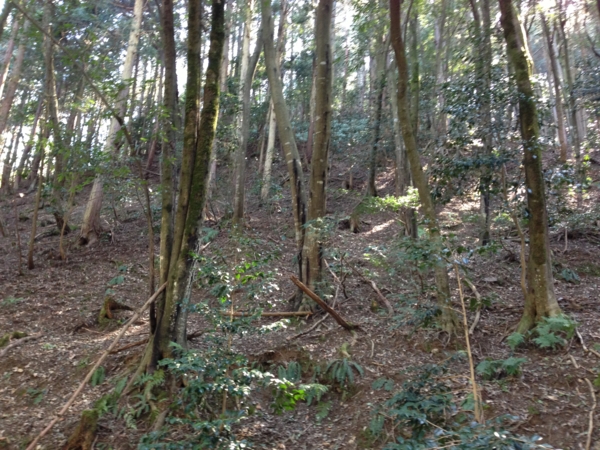 f:id:smoglog:20130312131838j:plain f:id:smoglog:20130312131838j:plain